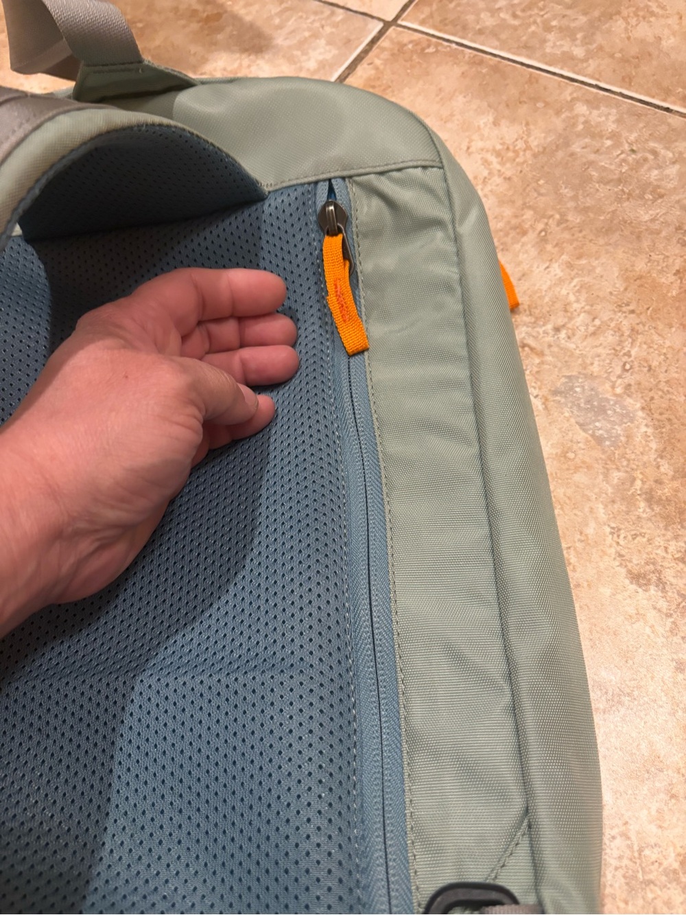 cotopaxi sage green backpack with blue trim - Picture 3 of 6